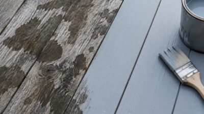 Почему чернеет дерево на улице